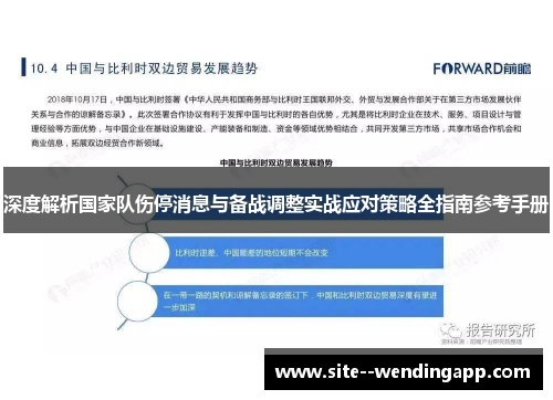 深度解析国家队伤停消息与备战调整实战应对策略全指南参考手册