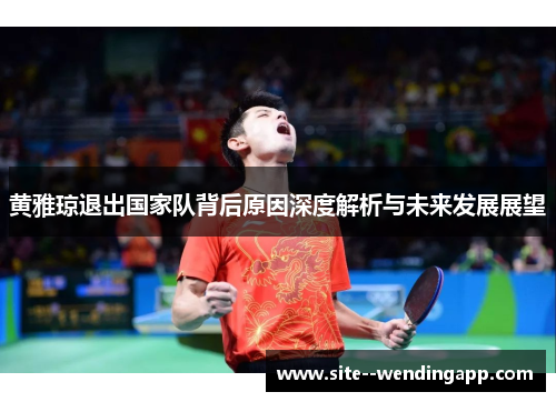 黄雅琼退出国家队背后原因深度解析与未来发展展望