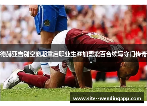 德赫亚告别空窗期重启职业生涯加盟紫百合续写守门传奇 德赫亚告别空窗期重启职业生涯加盟紫百合续写守门传奇